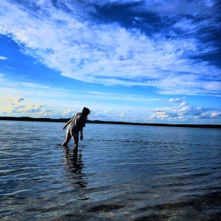 Котёнок Гав, зоогостиница и груминг-салон для питомцев