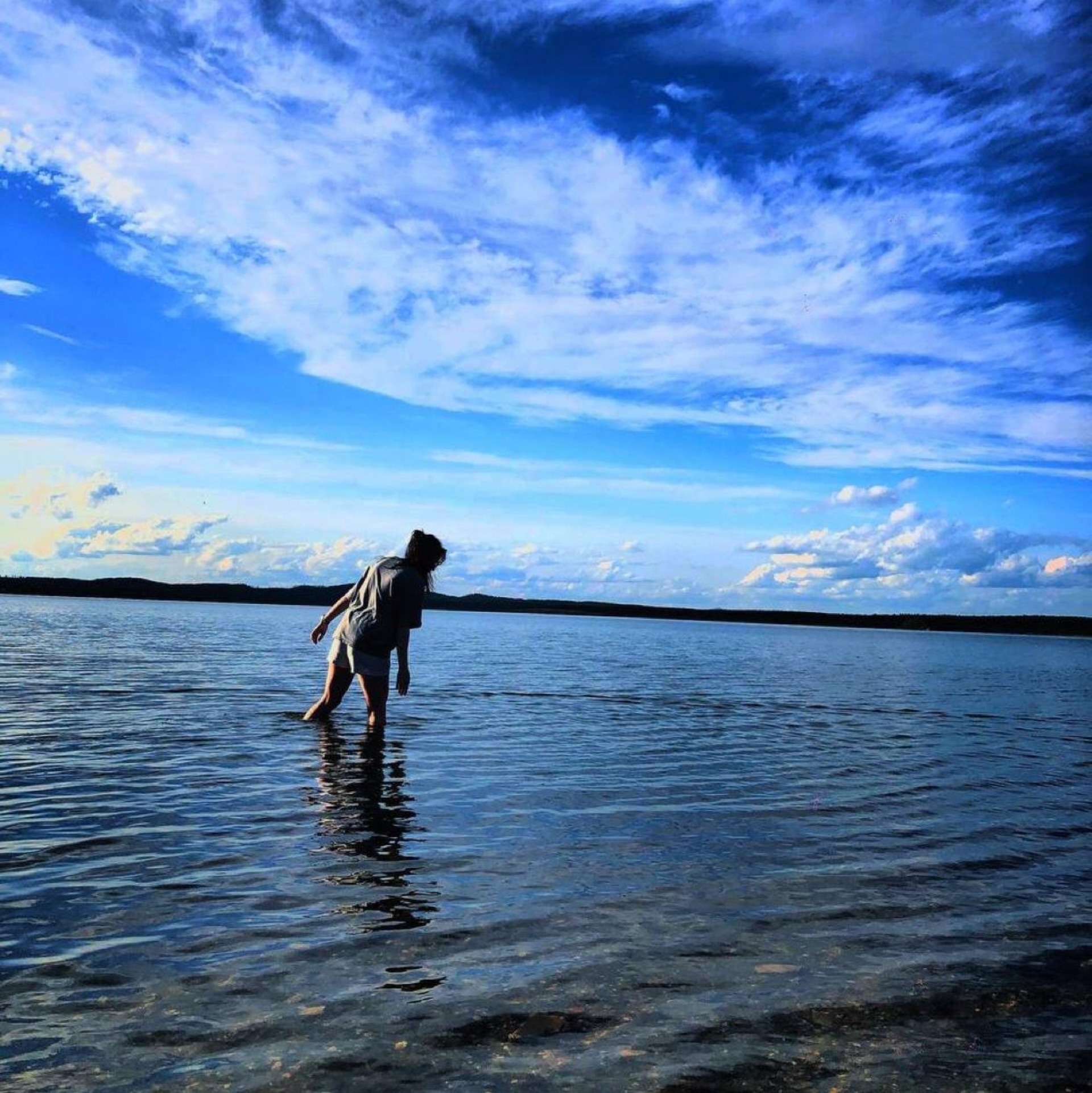 Котёнок Гав, зоогостиница и груминг-салон для питомцев