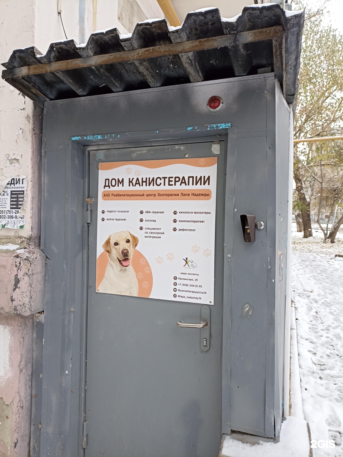 Лапа Надежды, реабилитационный центр зоотерапии