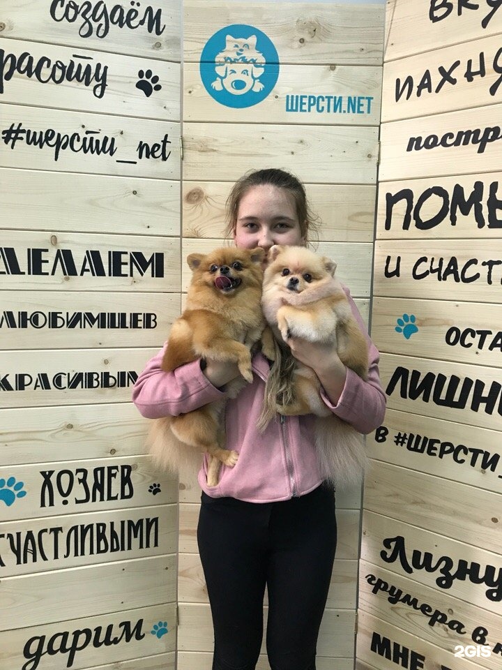 Шерсти.net, студия груминга