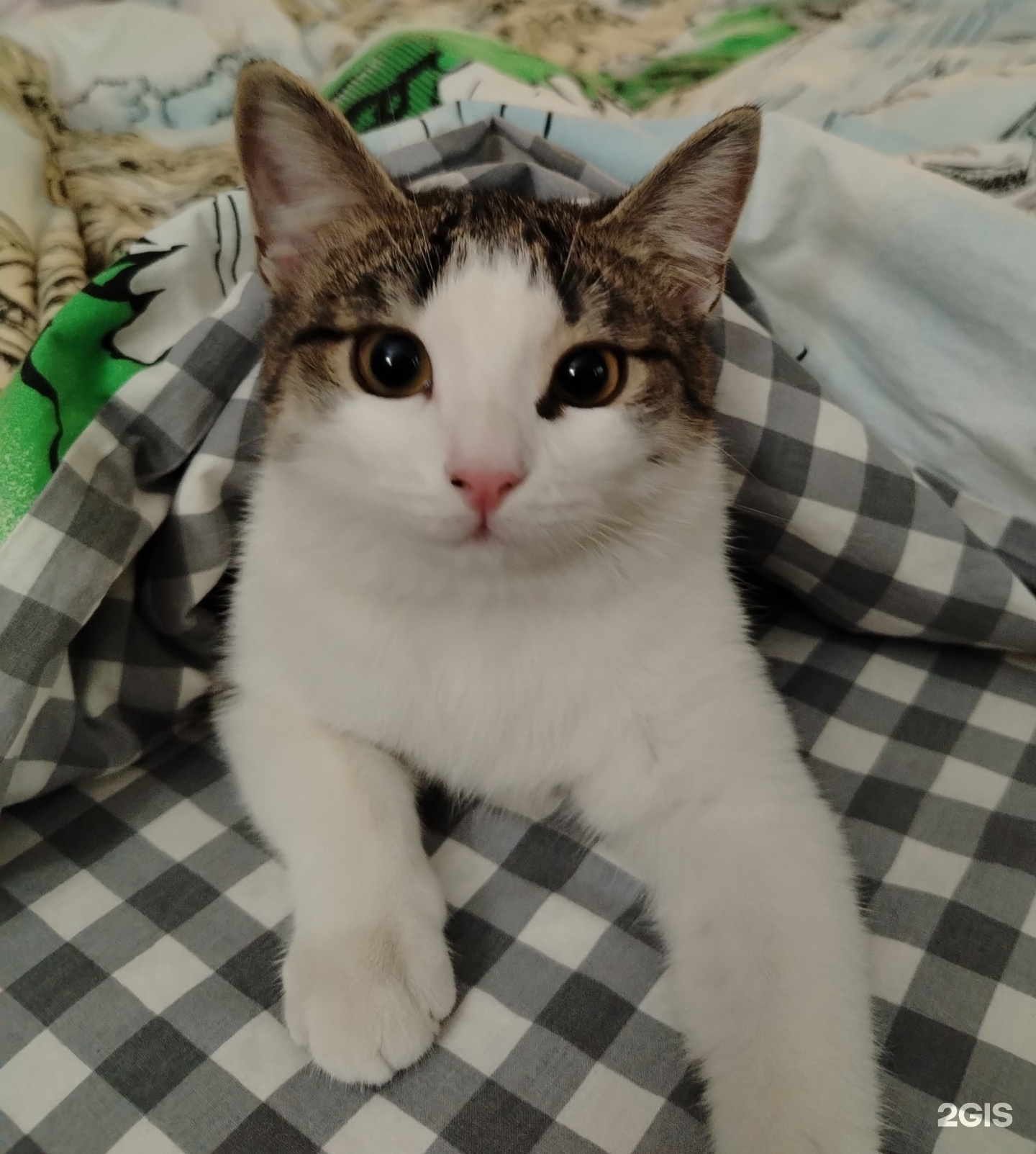 Умка Pro, ветеринарный центр