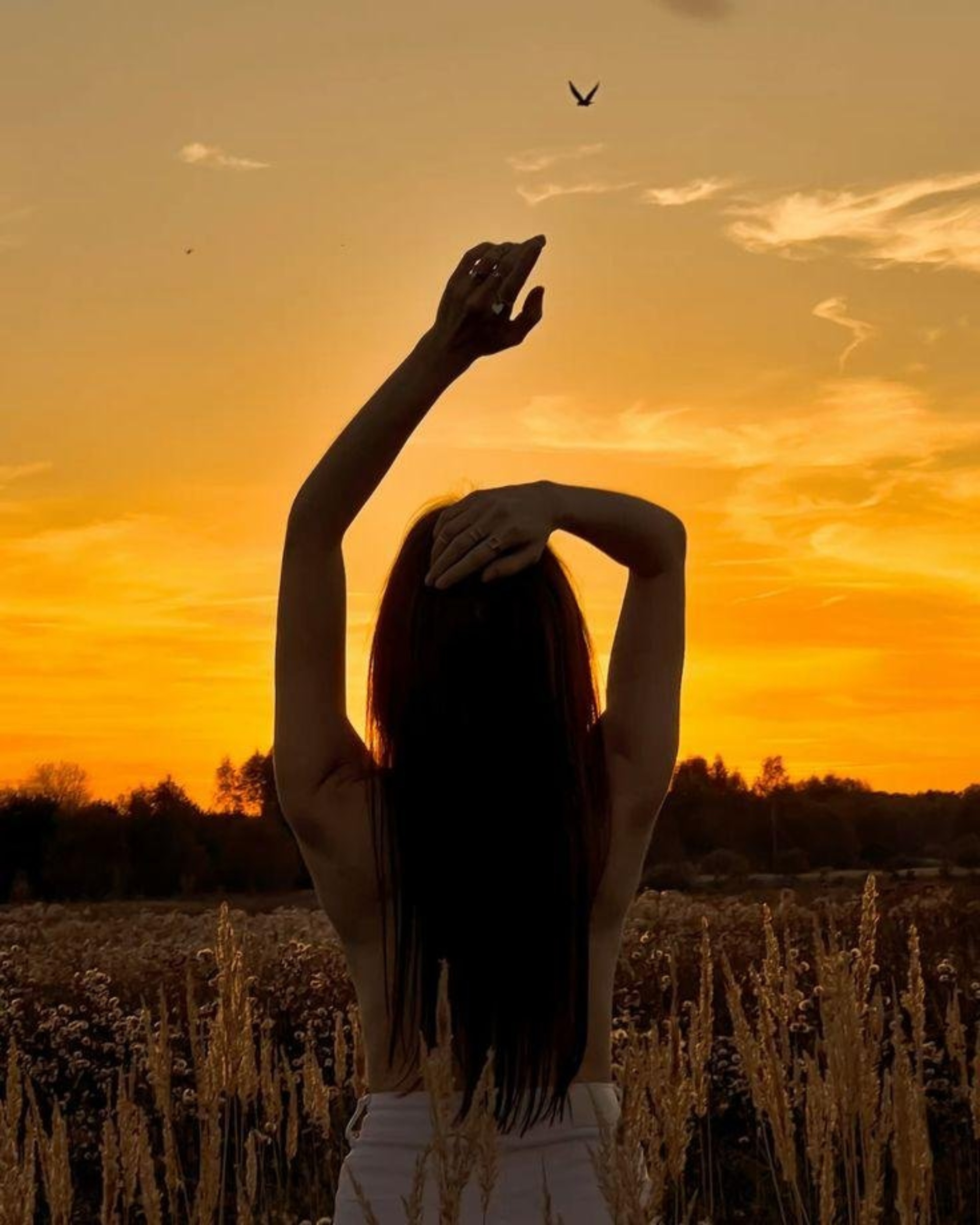 ВитаЭнимал, ветеринарная клиника дерматологии и эндокринологии