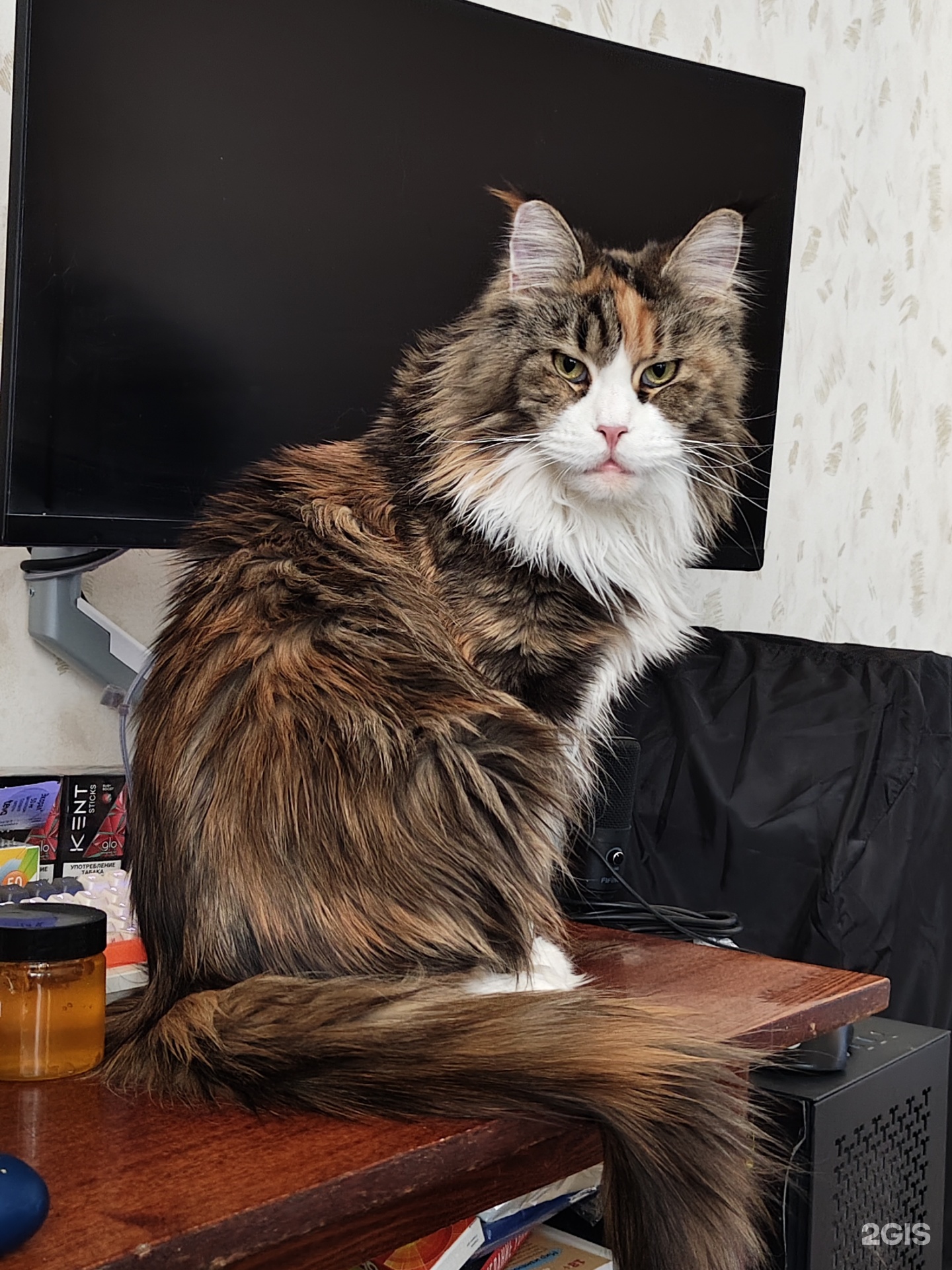 Зоомакс, ветеринарный центр