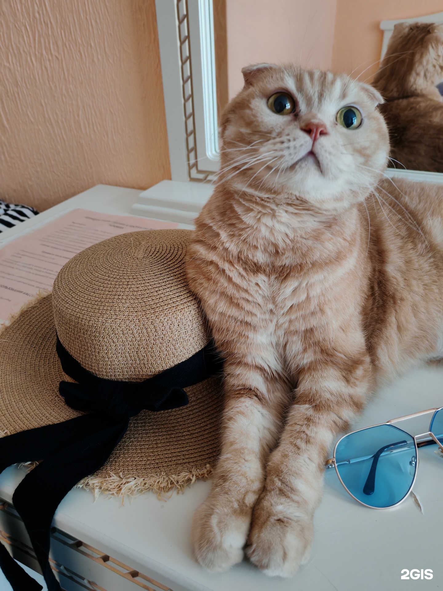 Зоомакс, ветеринарный центр