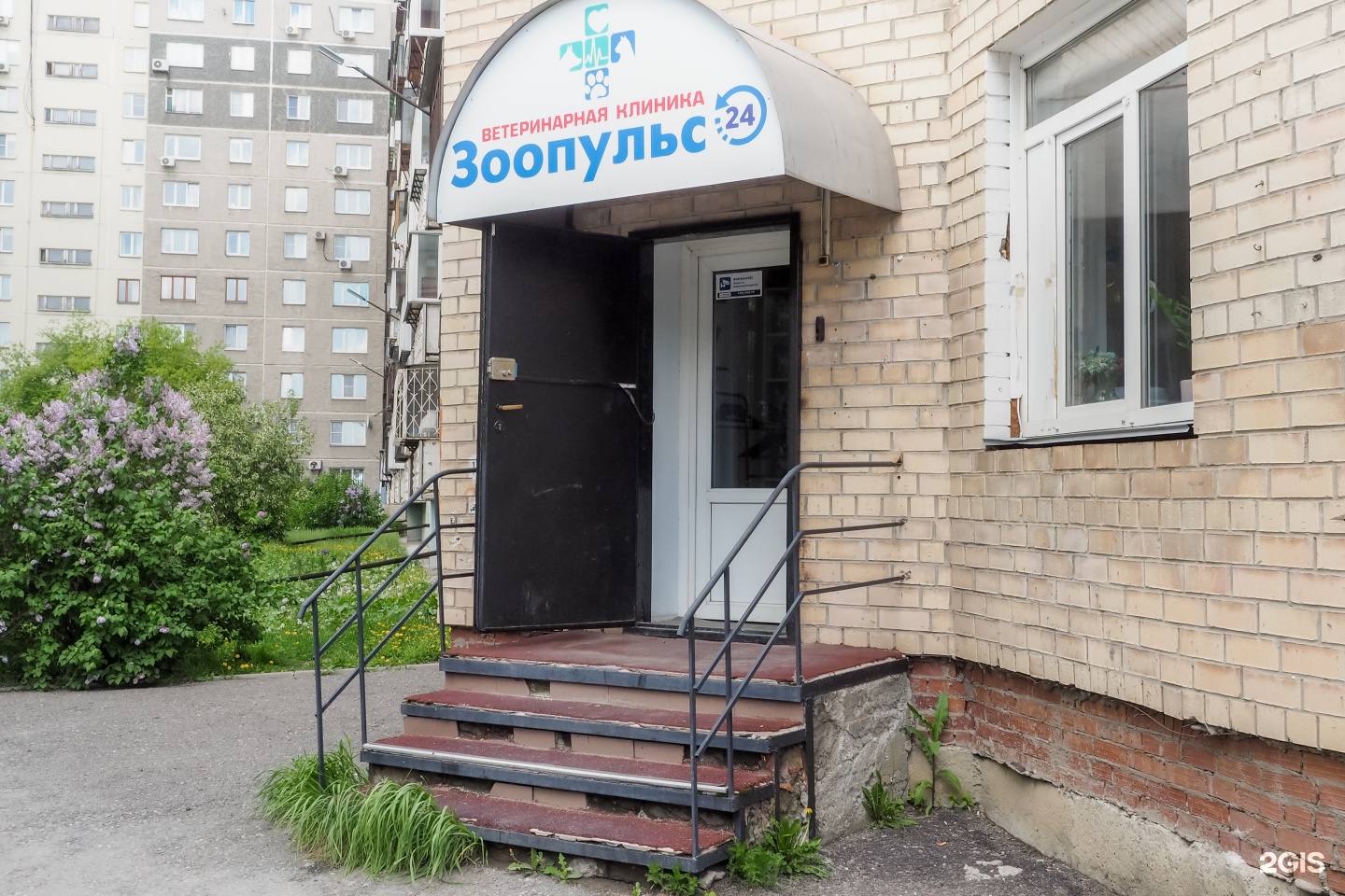 Зоопульс, ветеринарная клиника, улица Братьев Кашириных, 54