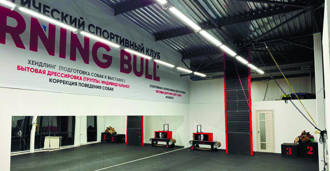 Burning Bull, клуб дрессировки собак