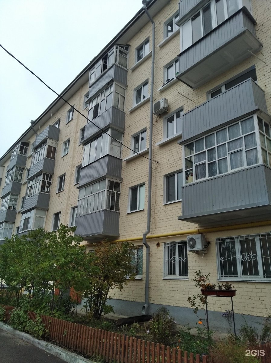 Аврора, зоомагазин