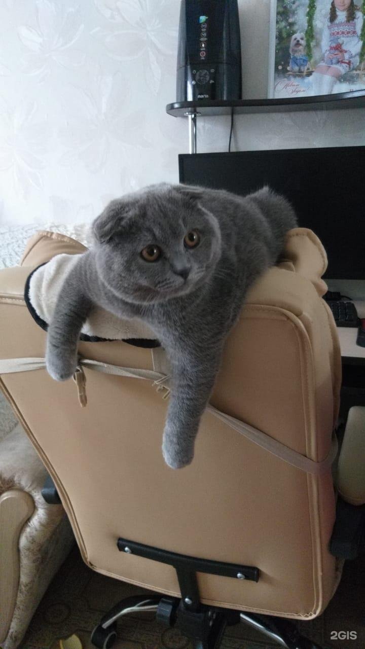 Клиника ветеринарной медицины доктора Птицына