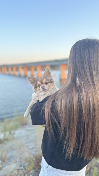 Oh my dog, груминг-салон