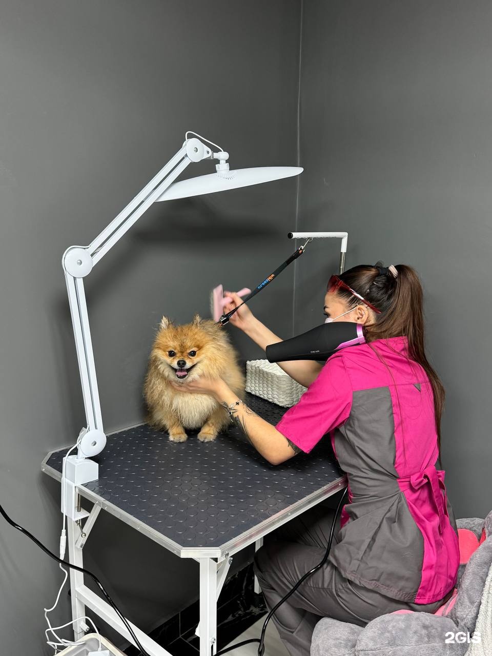 Oh my dog, груминг-салон