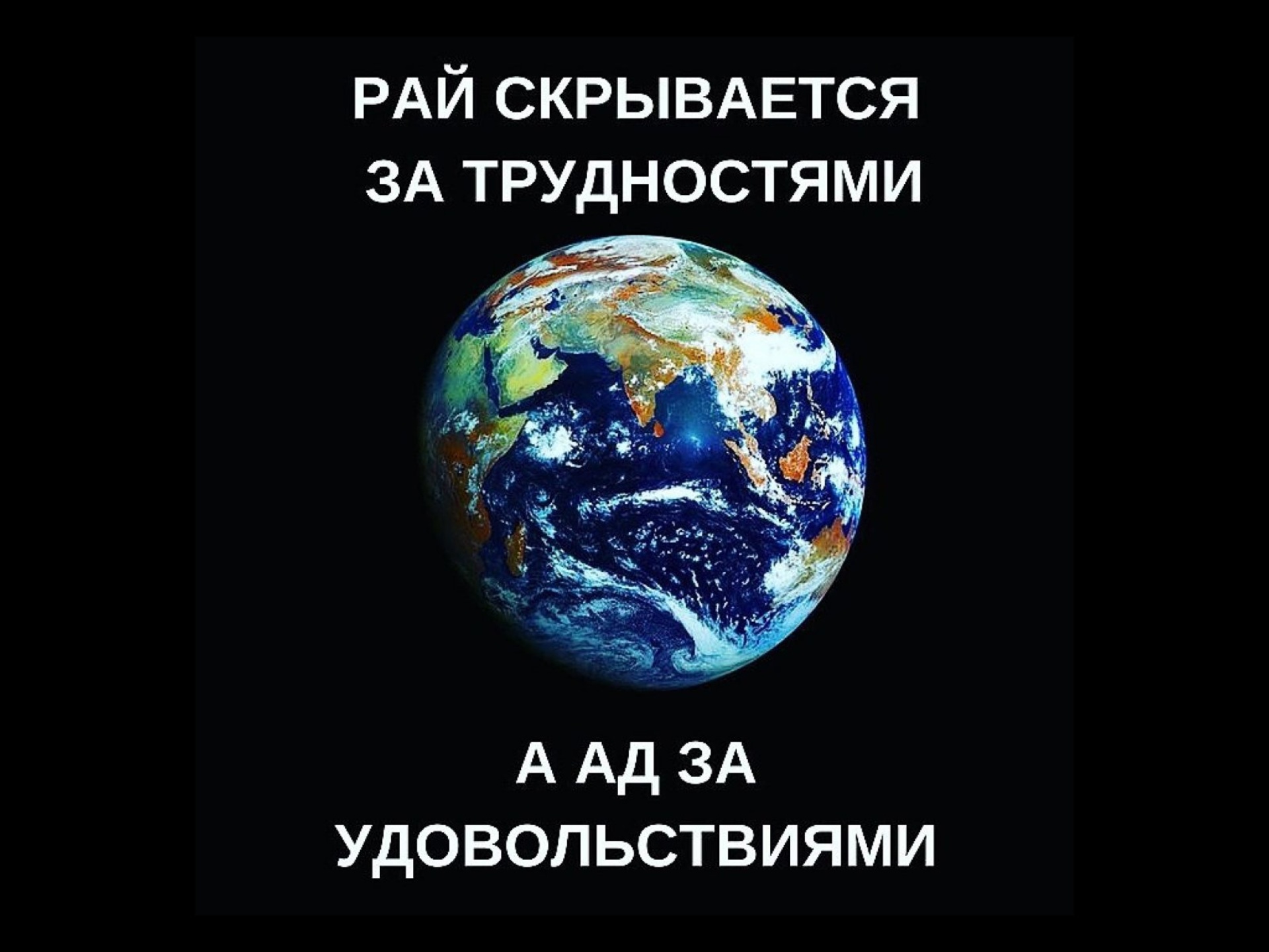 Petshop.ru, зоомагазин