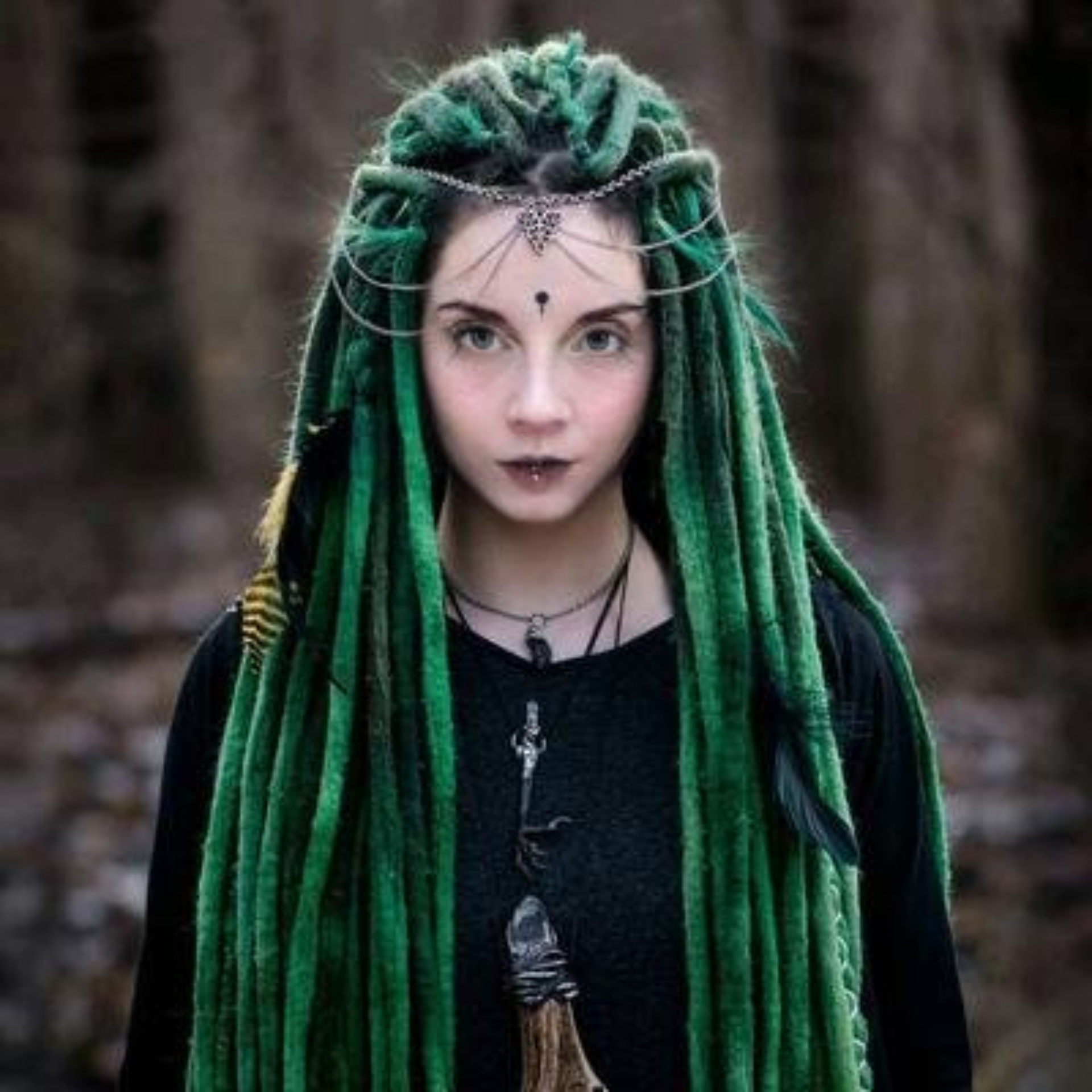 Блэкгрумер, груминг-салон и СПА для животных