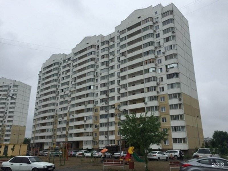 Кот Лео, зоомагазин