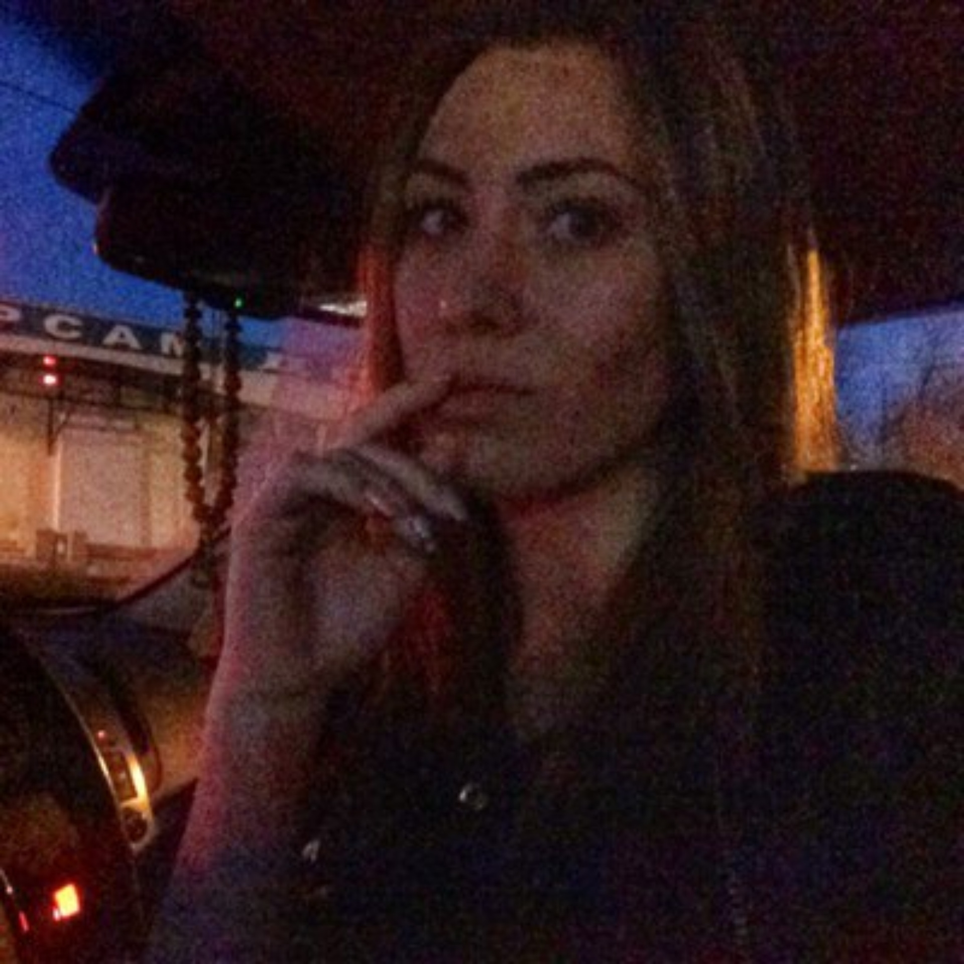 Леди, студия груминга и зоогостиница