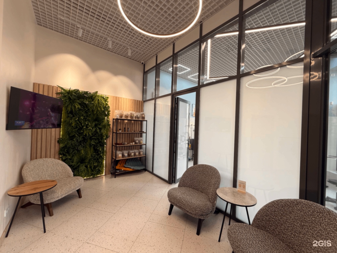 Леди, студия груминга и зоогостиница