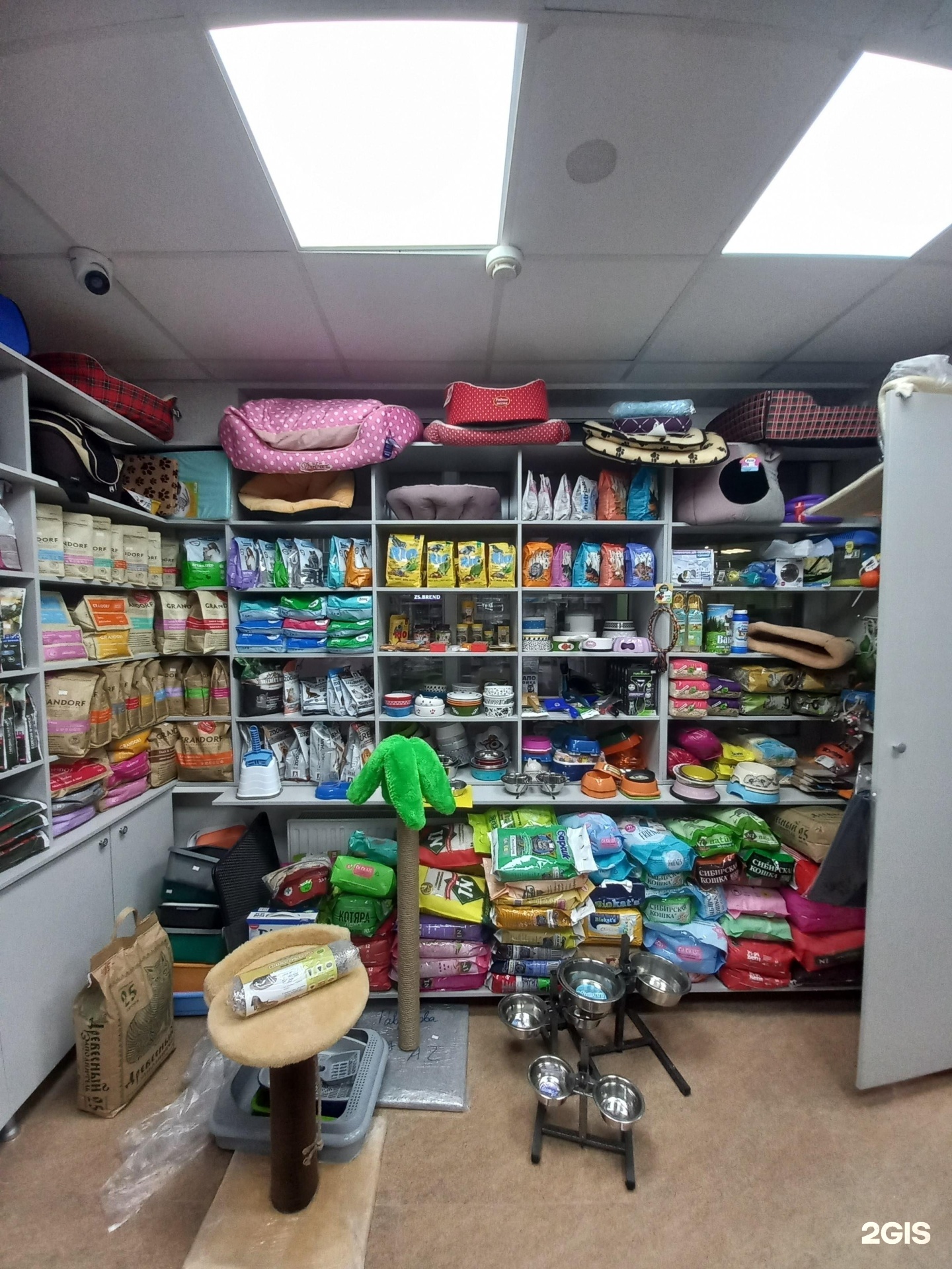 Слон, ветеринарный центр