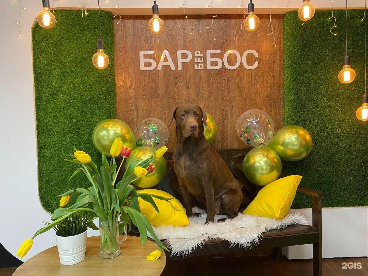 Барбербос, груминг-салон