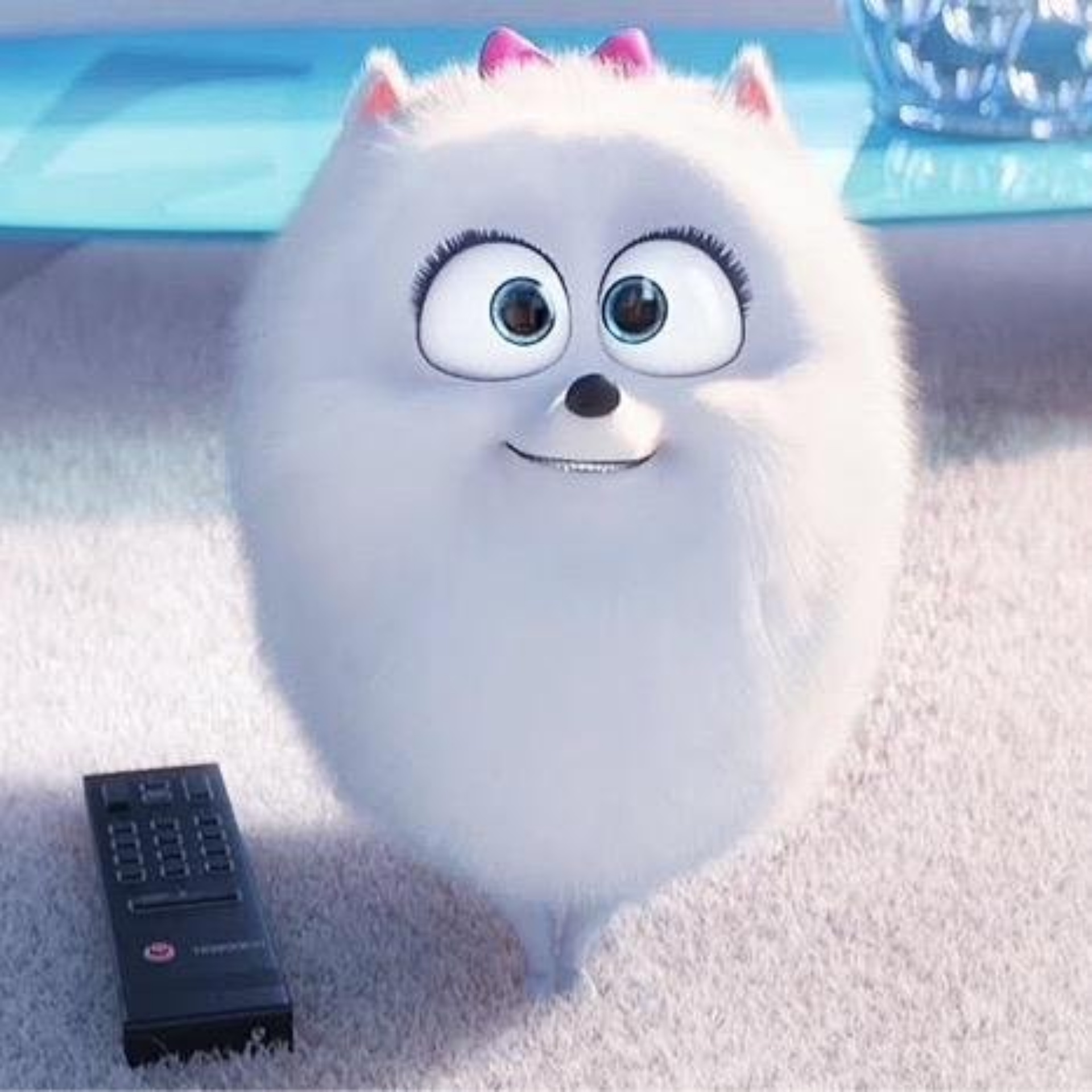 Benavill, салон-магазин для кошек