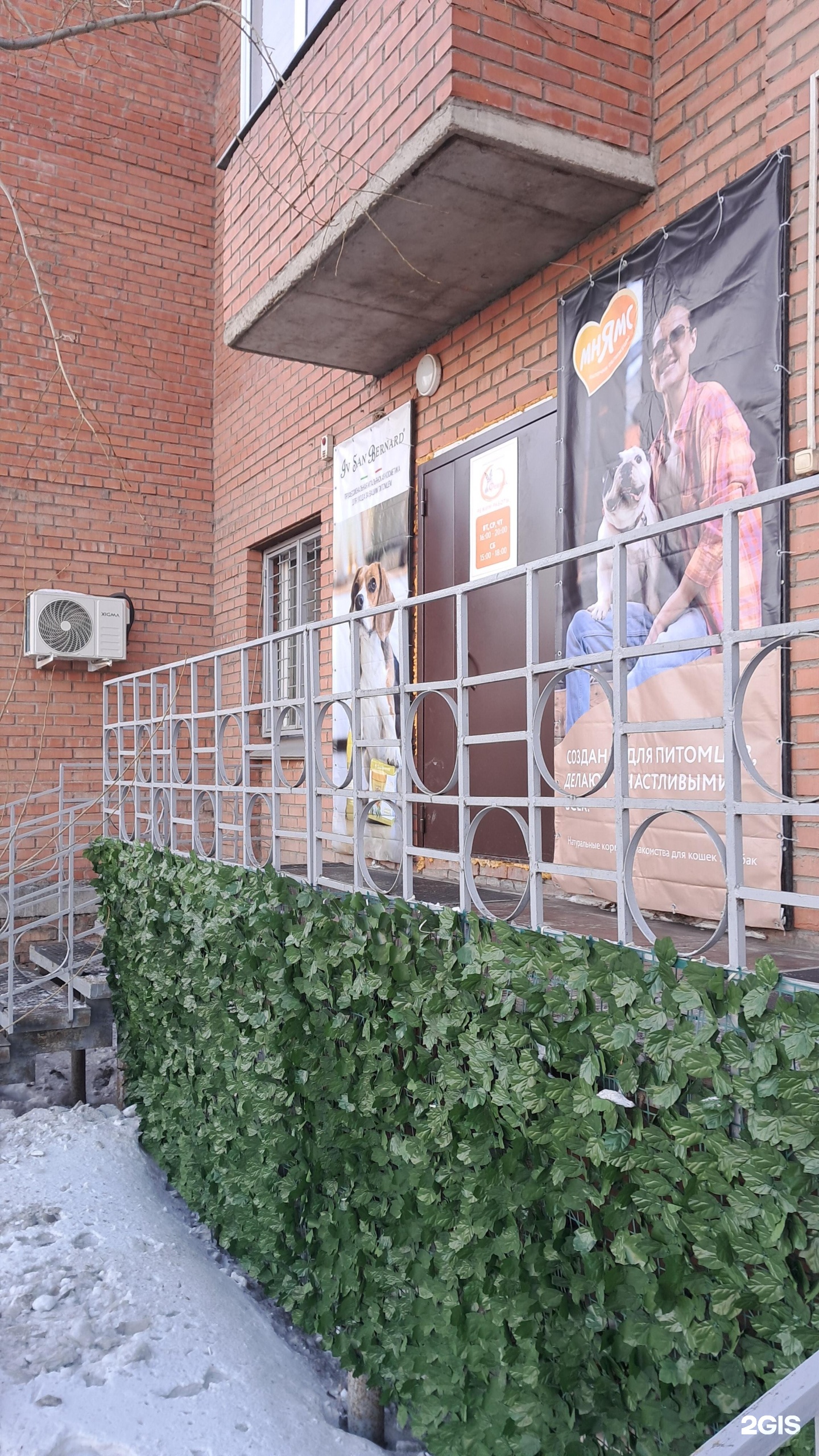 Феникс стар, Красноярская общественная организация профессионалов-собаководов — груминг Красноярск