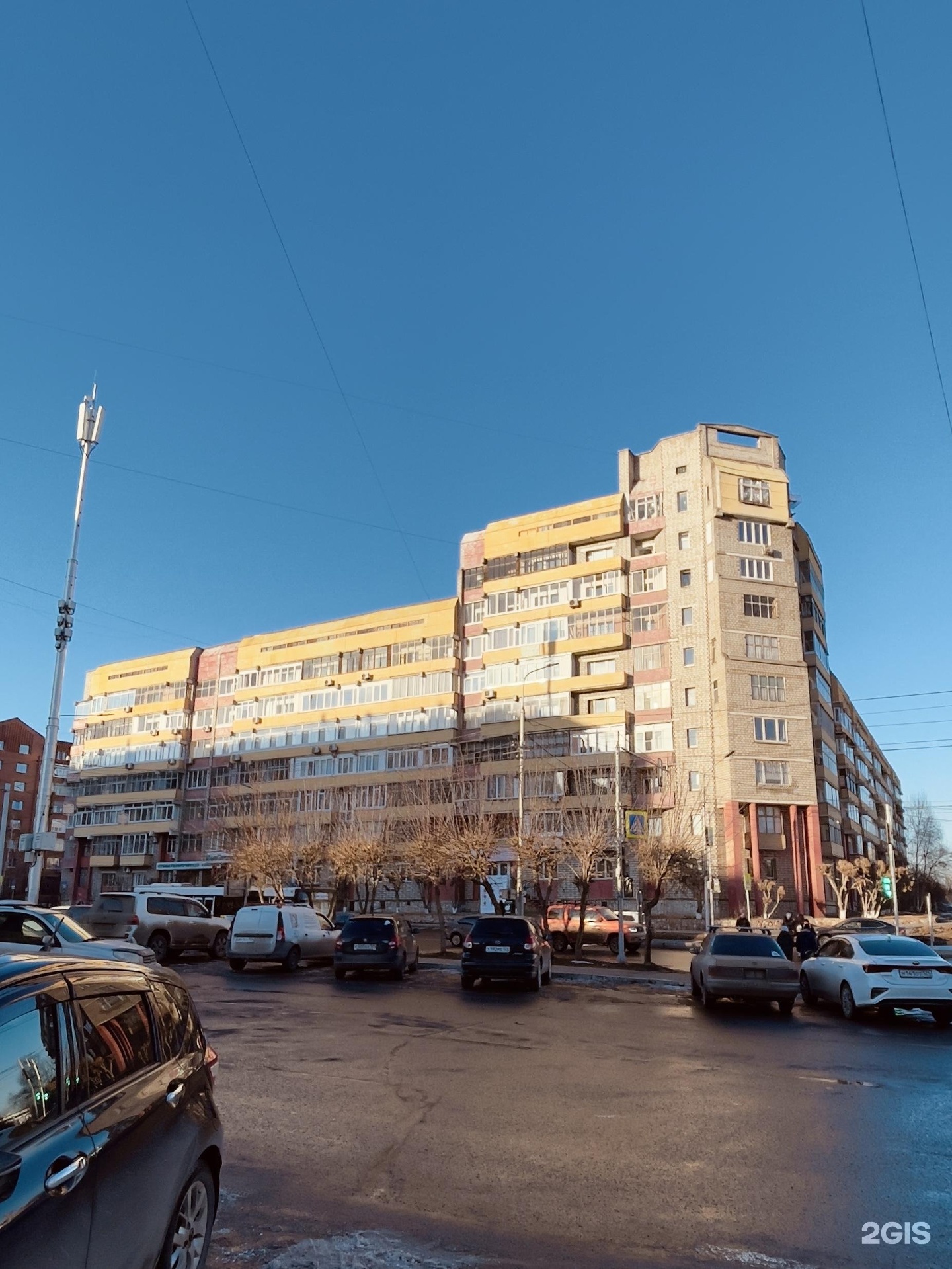 Феникс стар, Красноярская общественная организация профессионалов-собаководов