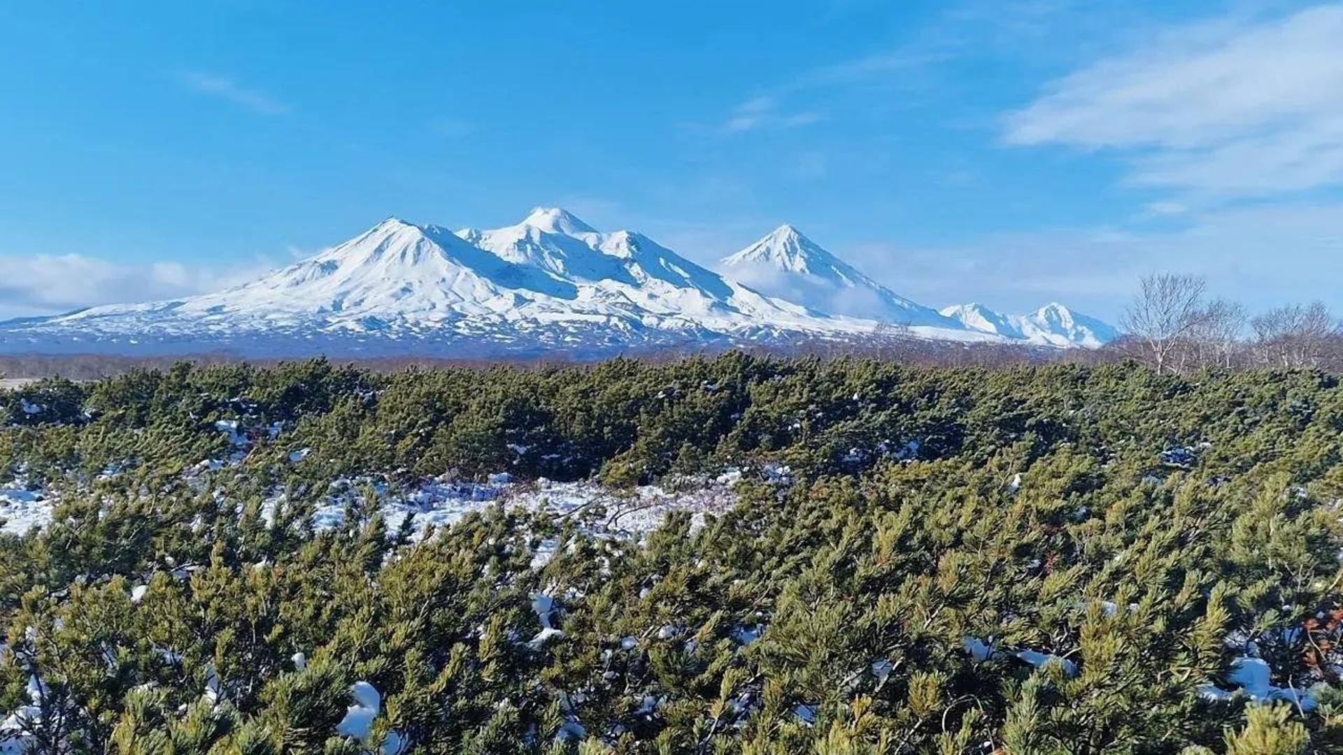 Глубина, студия аквариумов, Форт