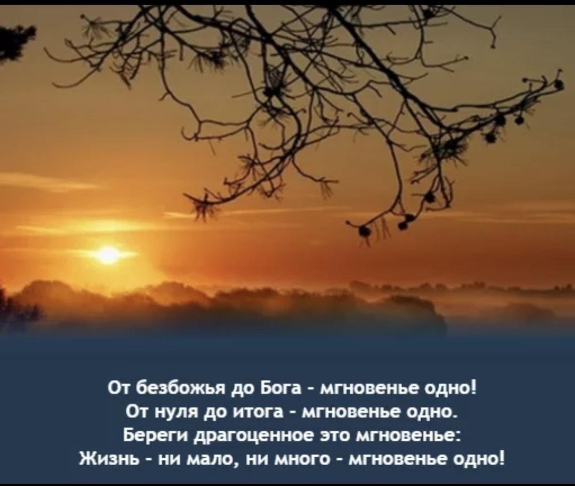 Groom, салон по уходу за животными