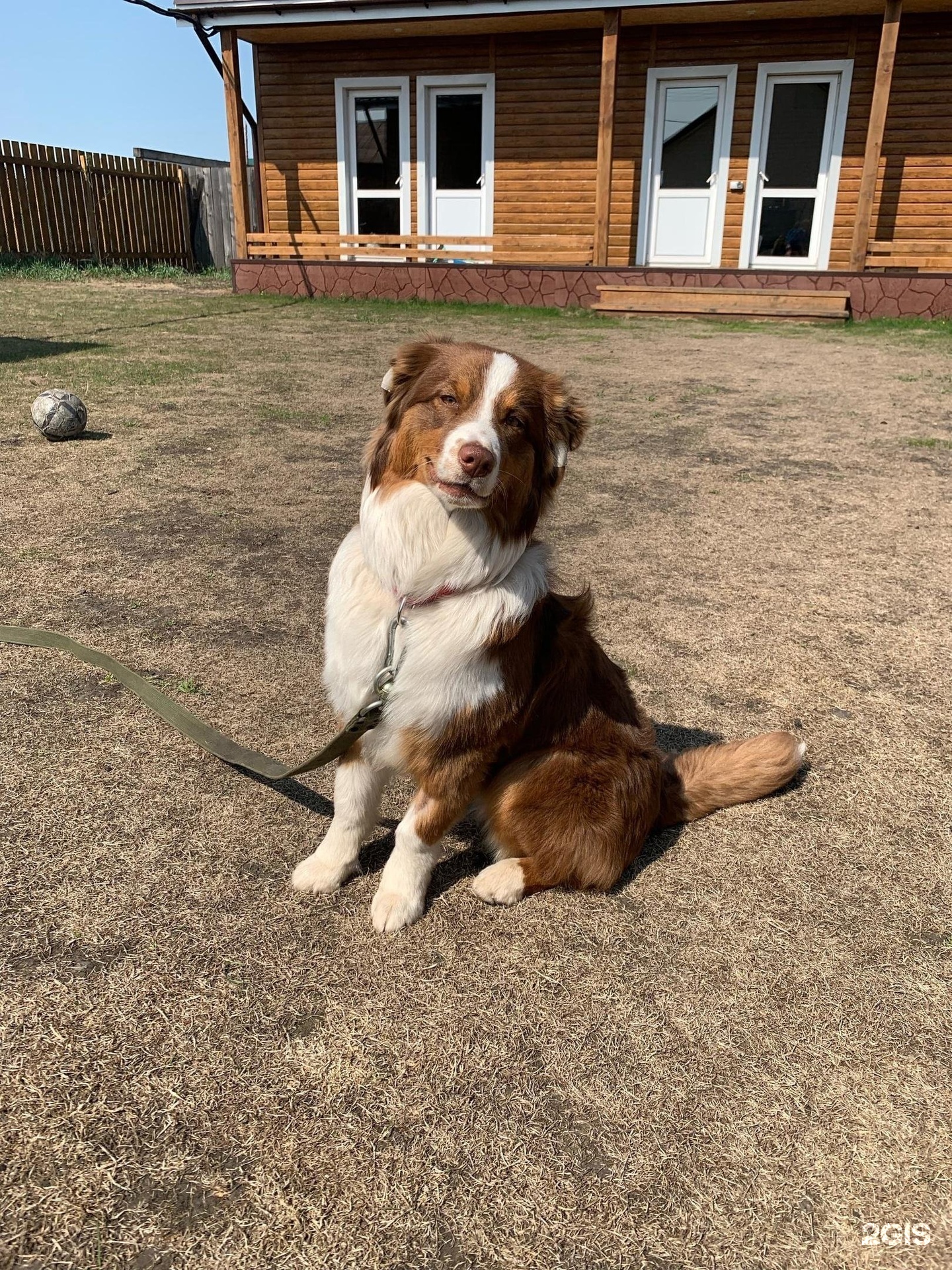 Грум-Room, сибирский центр груминга