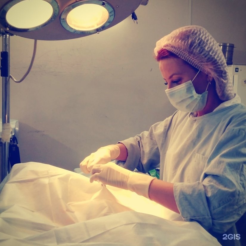 КрасВетМедика, ветеринарная клиника