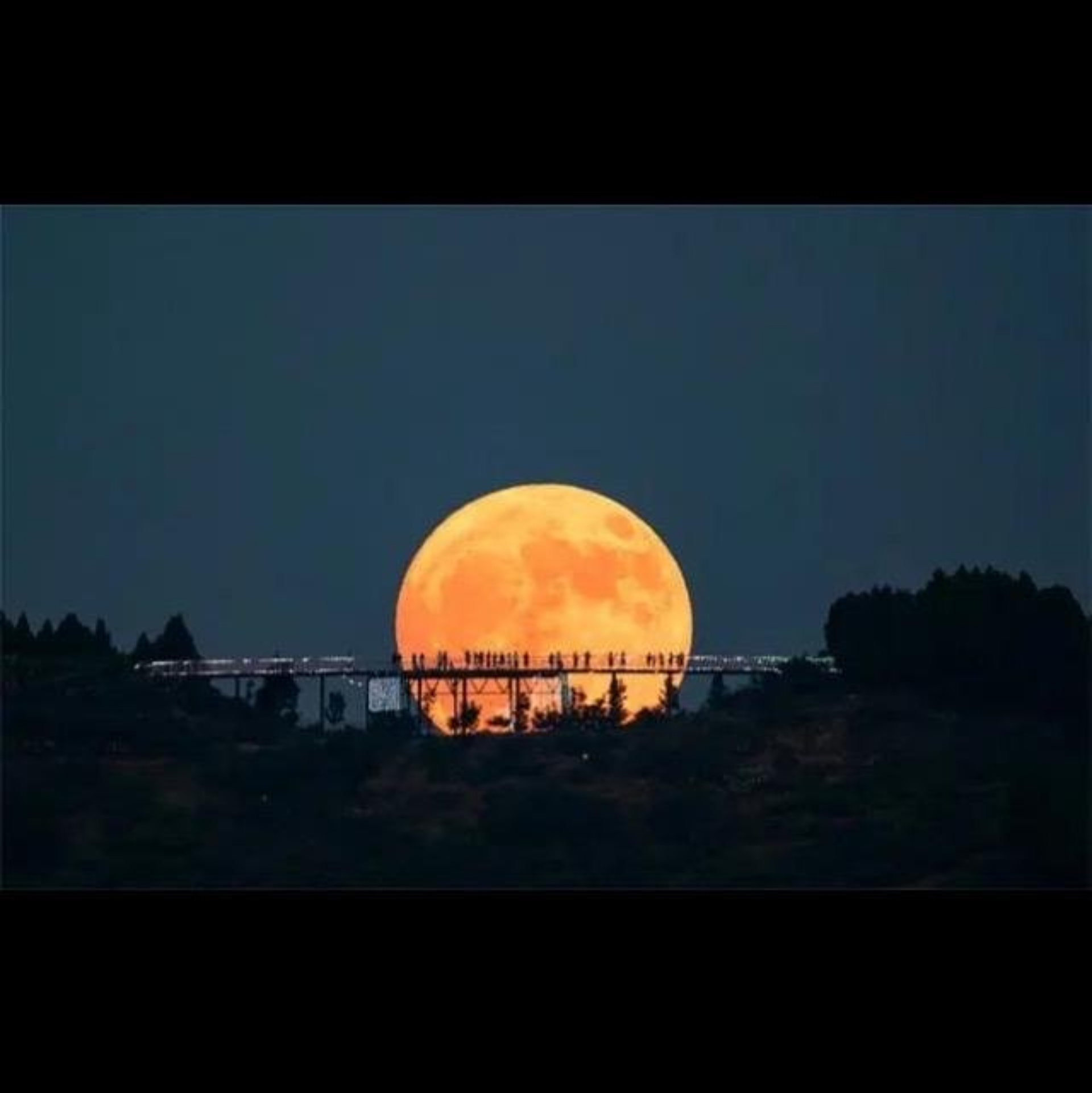 КрасВетМедика, ветеринарная клиника