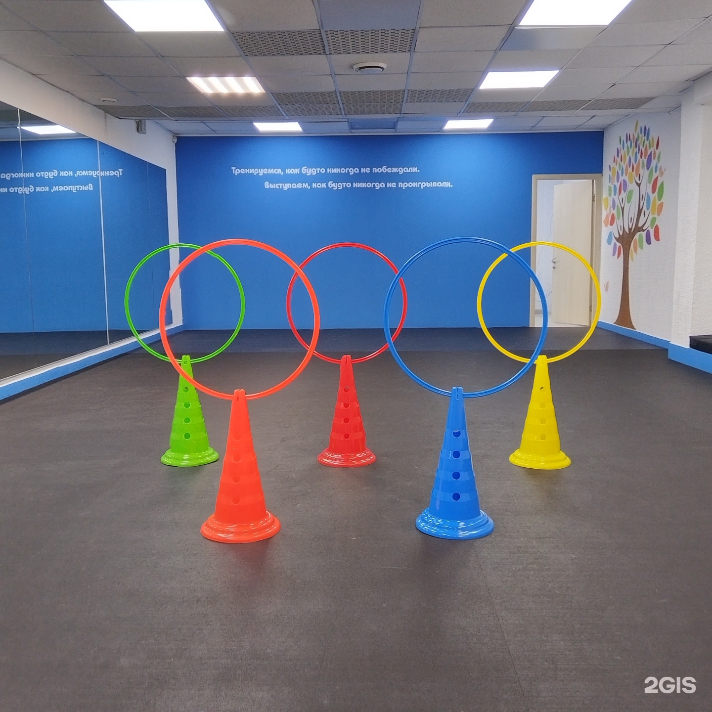 Зал для дрессировки собак