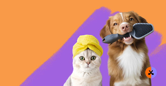 Четыре лапы, сеть груминг-салонов, ТРЦ Европейский