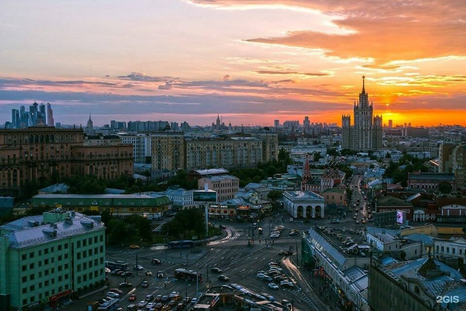 Четыре лапы, сеть зоомагазинов