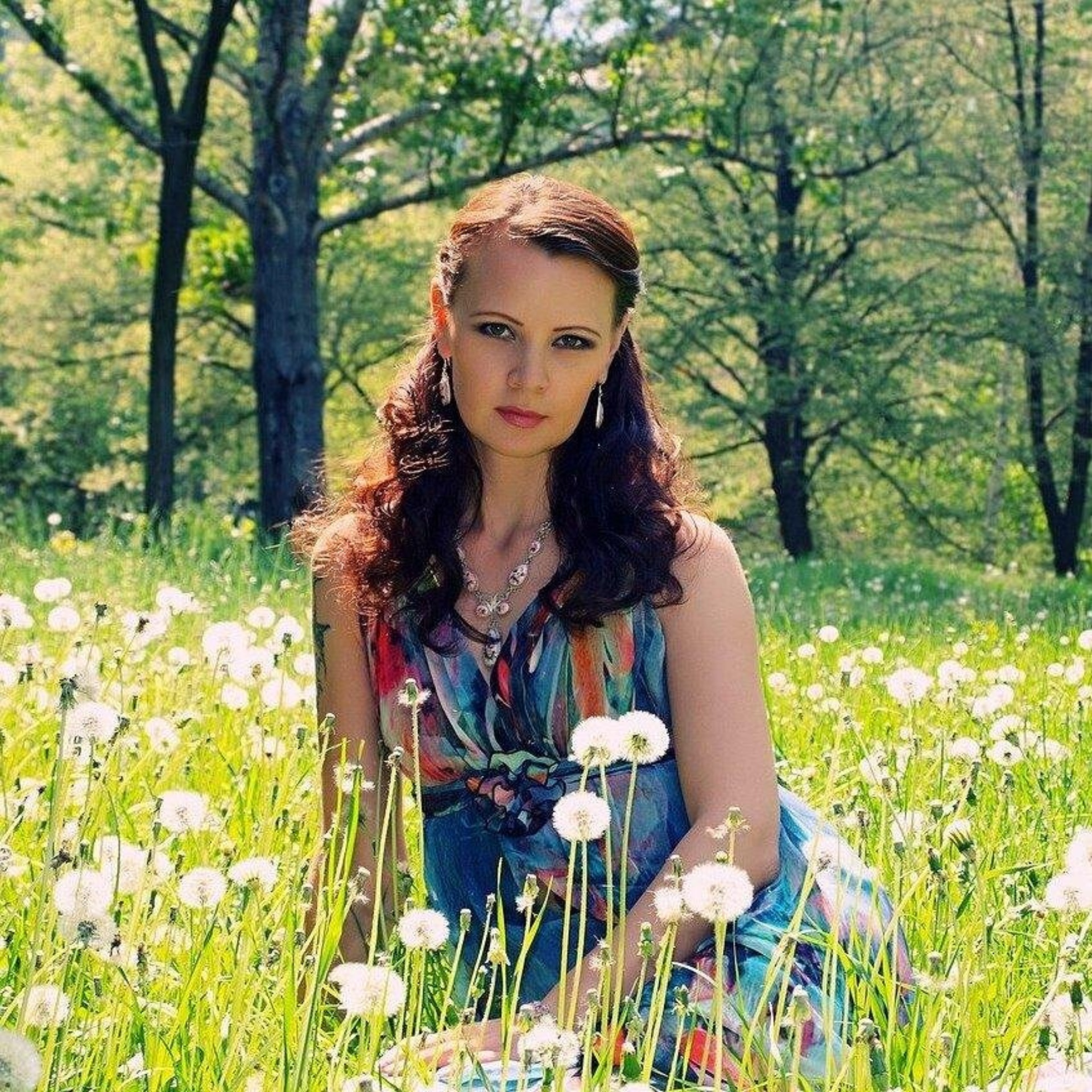 Клевер, ветеринарная клиника