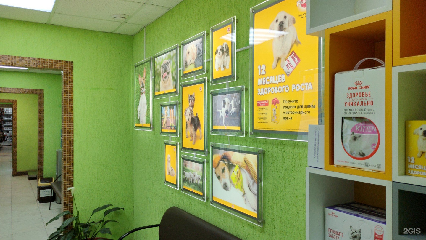 Лебеди, сеть ветеринарных центров малотравматичной хирургии и комплексного восстановления