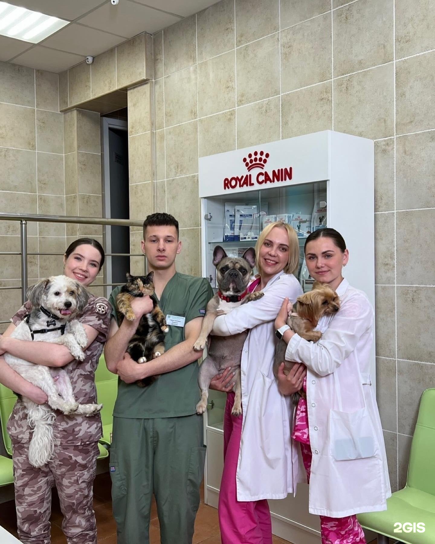 Усатый полосатый, ветеринарный центр