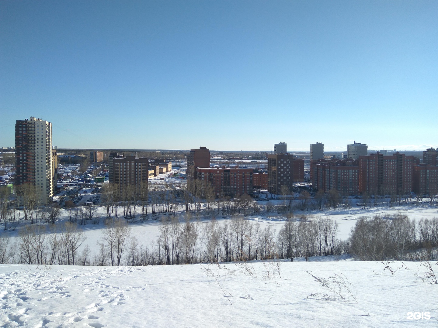 Хвостатый друг, ветеринарный центр