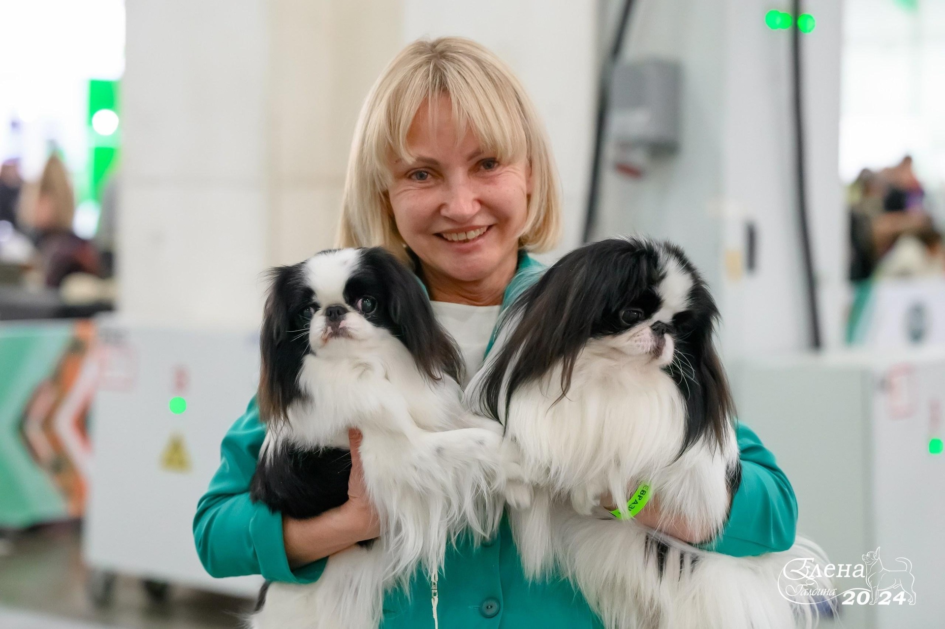 Хвостатый друг, ветеринарный центр