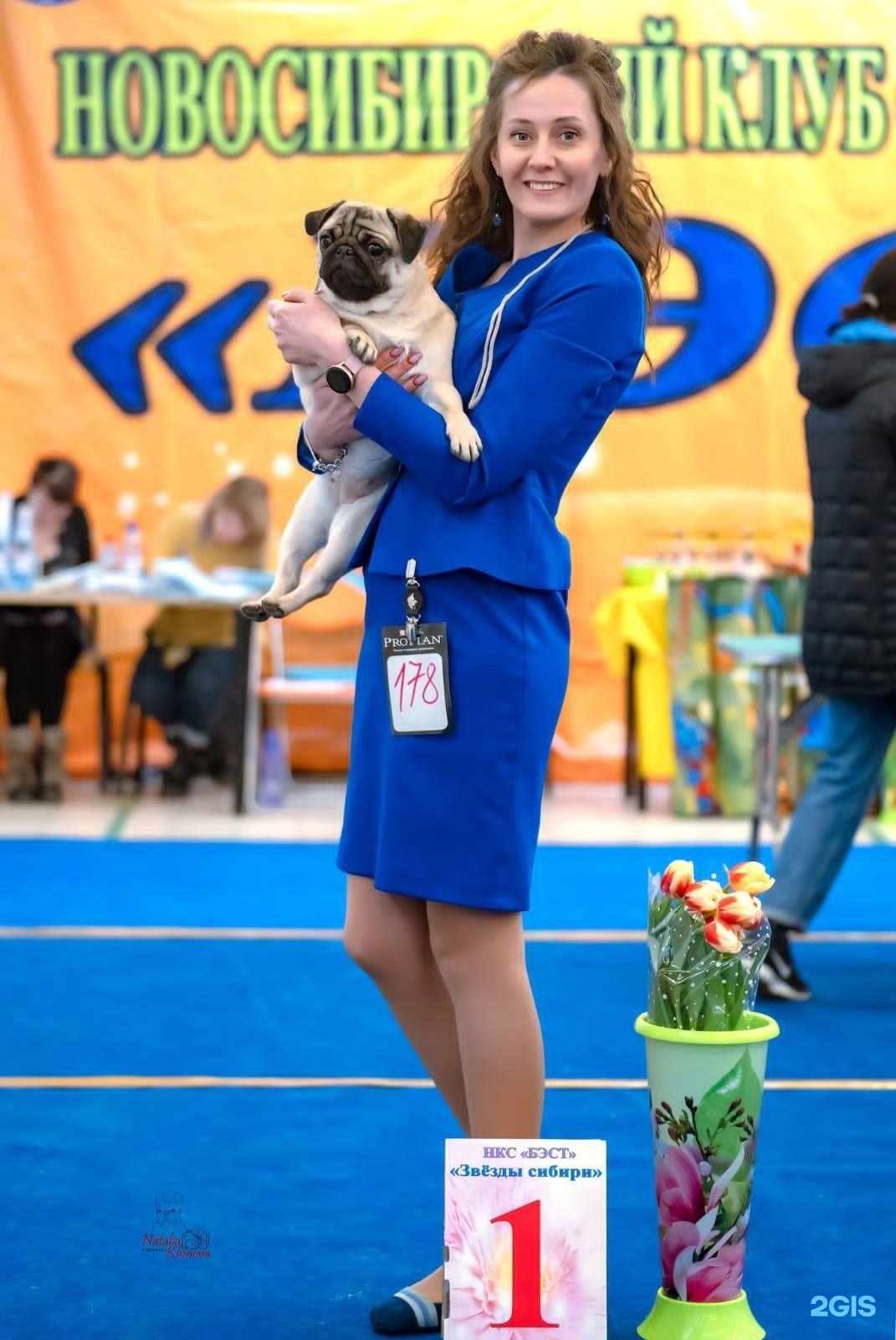 Империал, кинологический центр, Фабричная улица, 37 — груминг Новосибирск