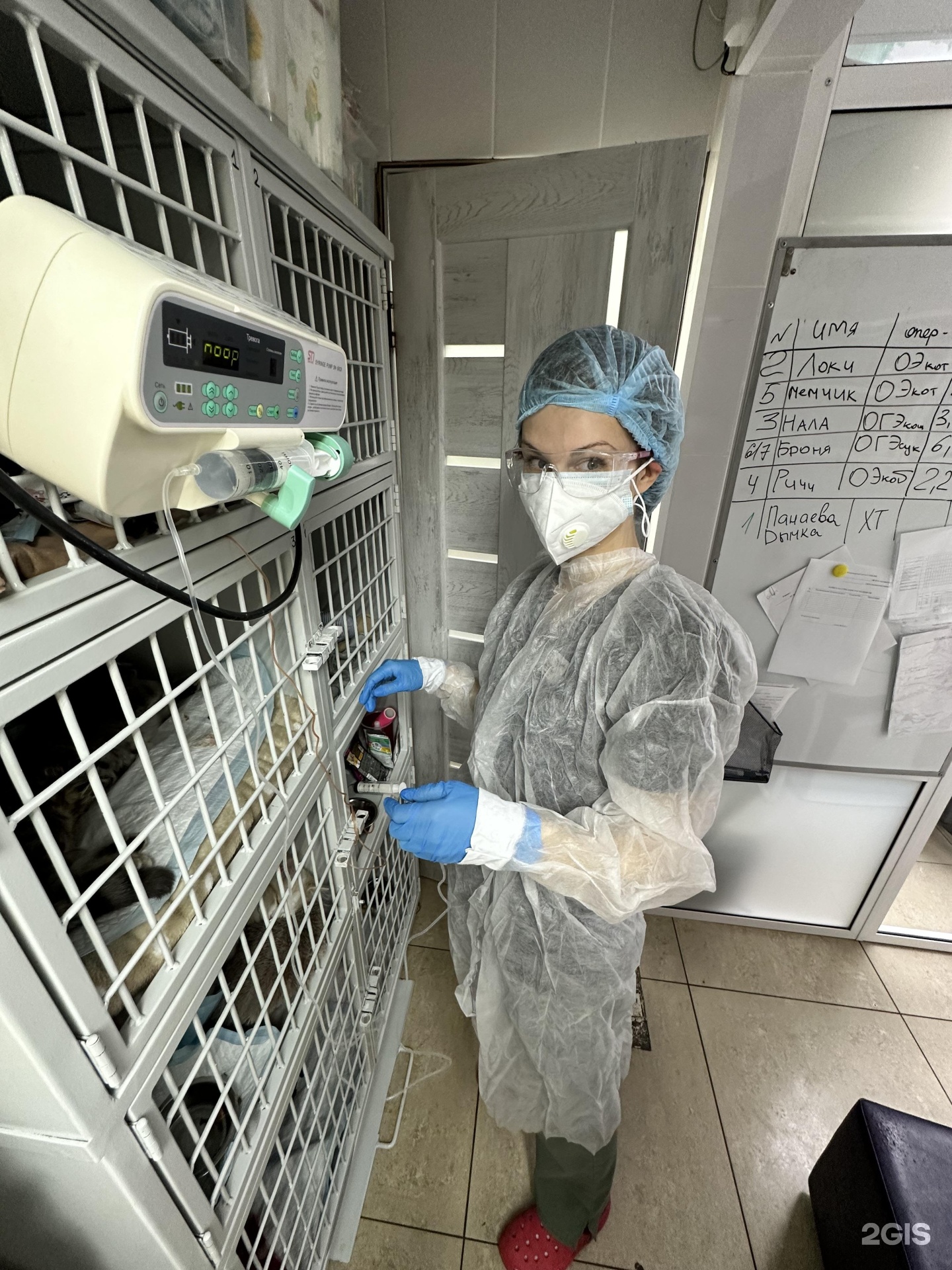 Ламурр, ветеринарный центр