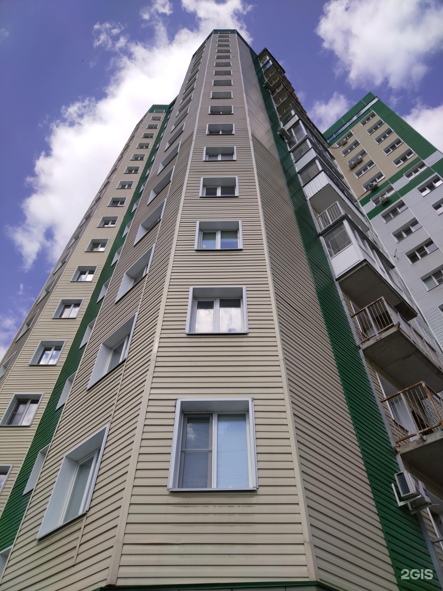 Лапа, груминг-салон