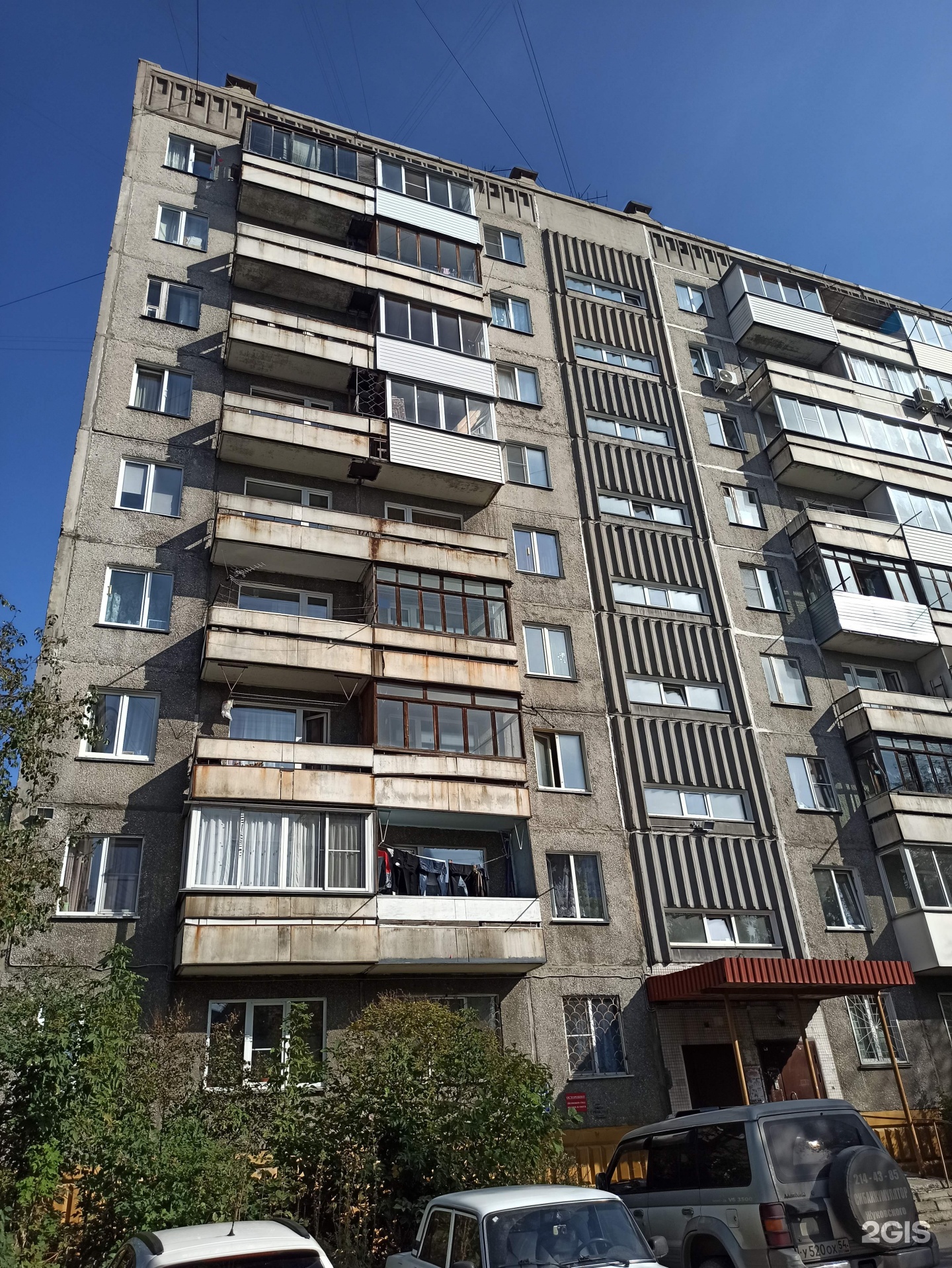 Максивет, ветеринарный центр