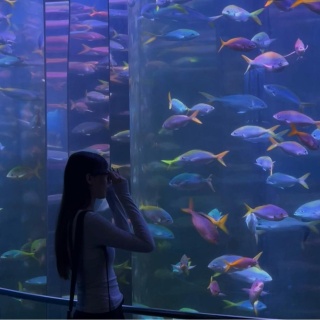 Максивет, ветеринарный центр