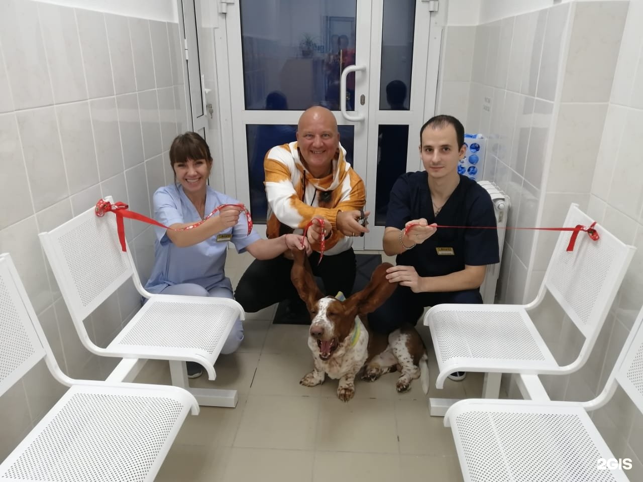 Максивет, ветеринарный центр