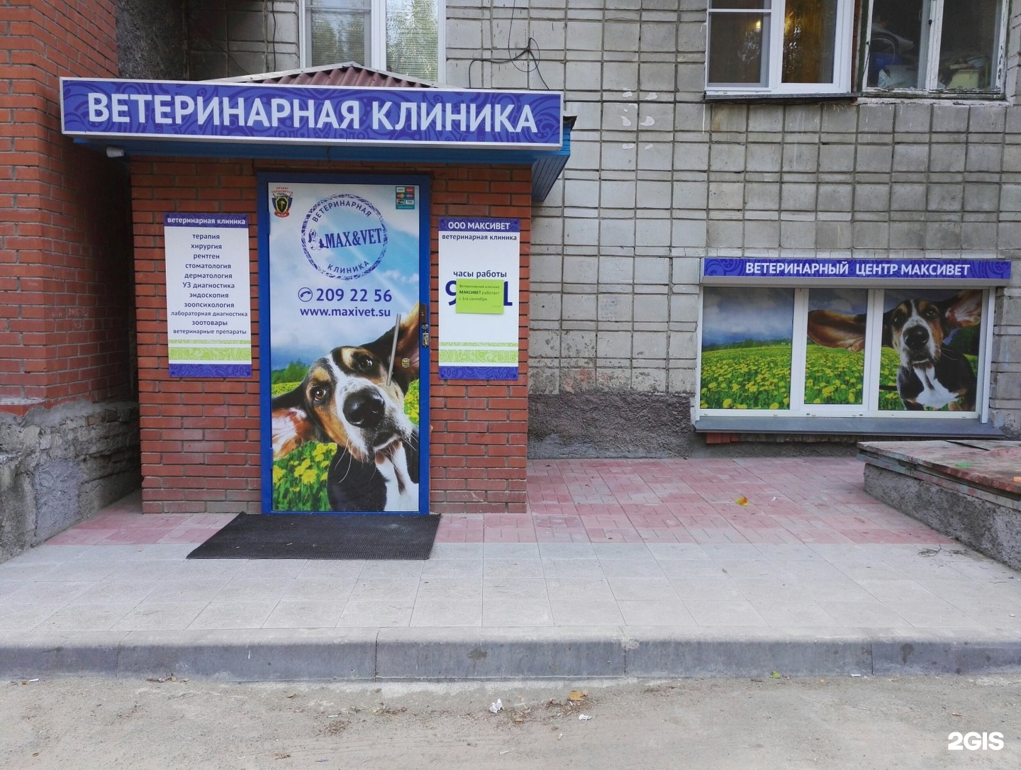 Максивет, ветеринарный центр