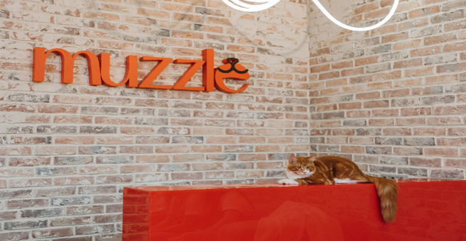 Muzzle груминг&amp;СПА, Vesper