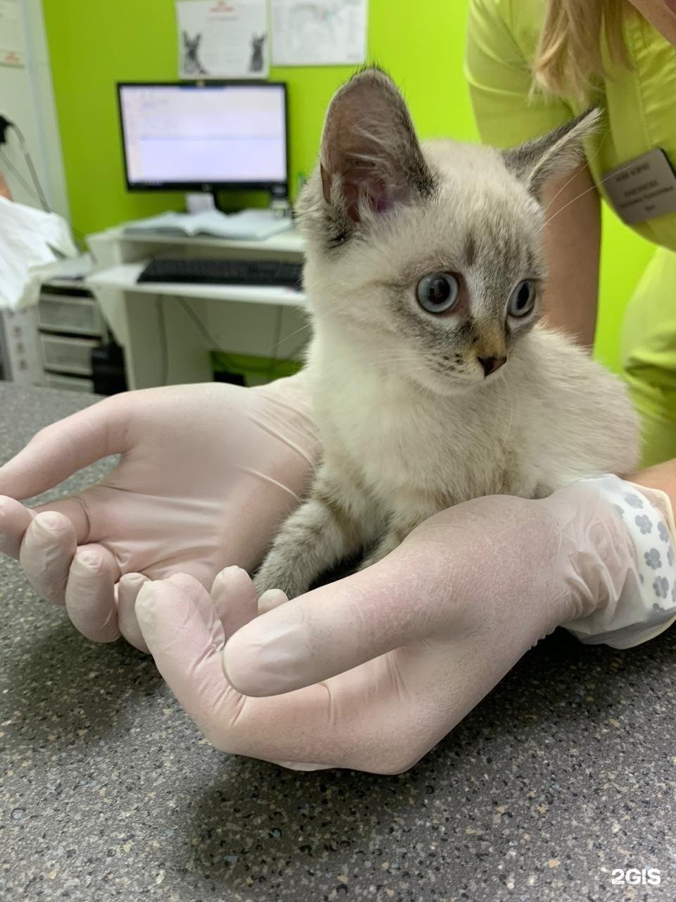 Ноев ковчег, ветеринарный центр