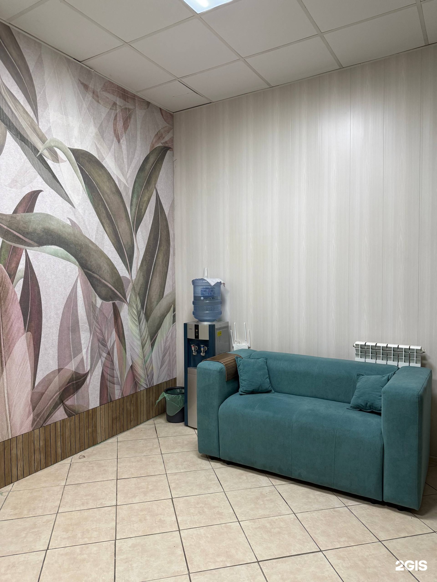 Студия заботы о ваших питомцах