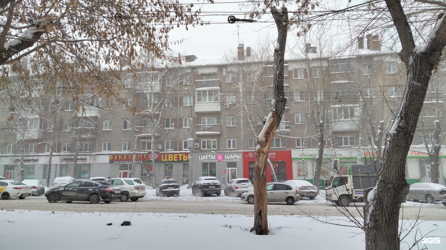 Зебра, аквазооцентр