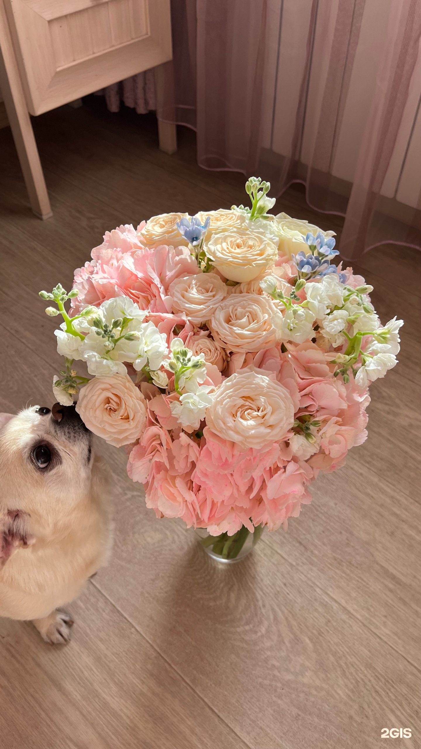 Ирбис, ветеринарный центр по лечению и уходу за животными