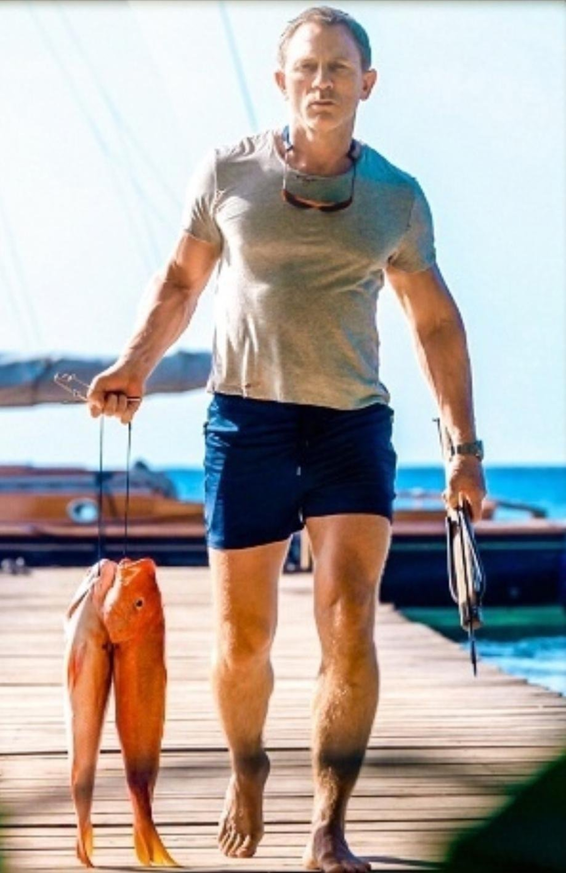 Областной центр спортивно-служебного собаководства